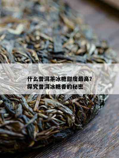 什么普洱茶冰糖甜度更高？探究普洱冰糖香的秘密