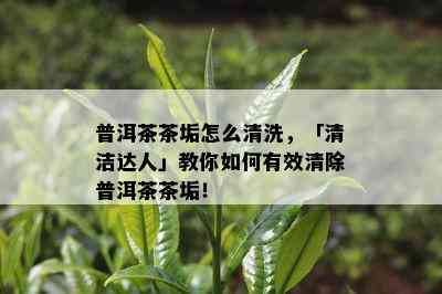 普洱茶茶垢怎么清洗，「清洁达人」教你如何有效清除普洱茶茶垢！