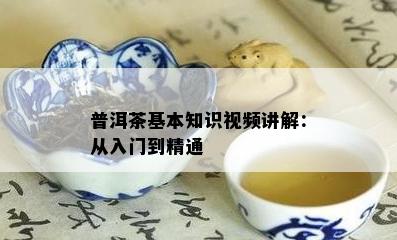 普洱茶基本知识视频讲解：从入门到精通