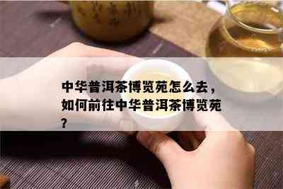 中华普洱茶博览苑怎么去，如何前往中华普洱茶博览苑？