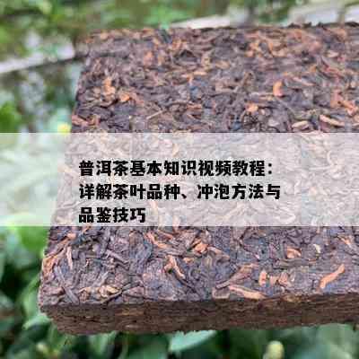 普洱茶基本知识视频教程：详解茶叶品种、冲泡方法与品鉴技巧