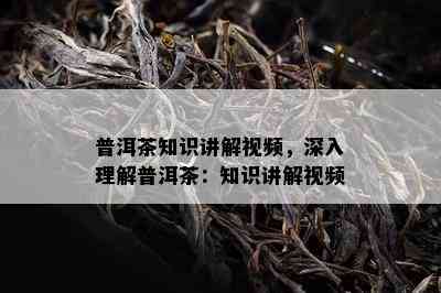 普洱茶知识讲解视频，深入理解普洱茶：知识讲解视频