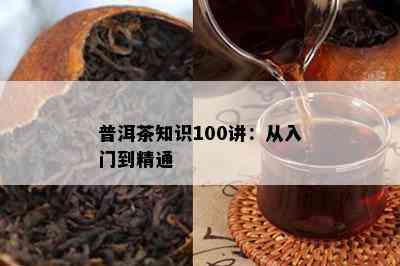 普洱茶知识100讲：从入门到精通