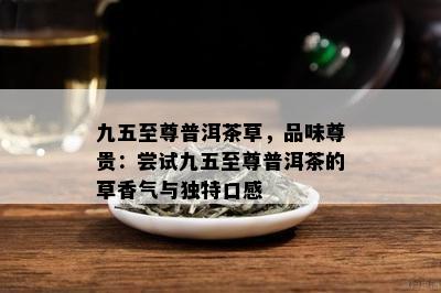 九五至尊普洱茶草，品味尊贵：尝试九五至尊普洱茶的草香气与独特口感