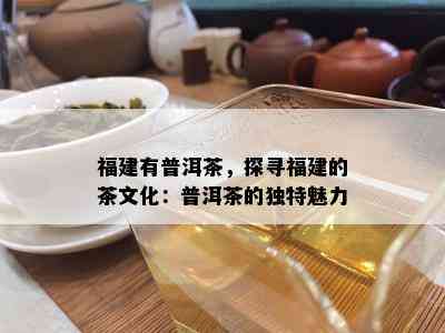 福建有普洱茶，探寻福建的茶文化：普洱茶的独特魅力