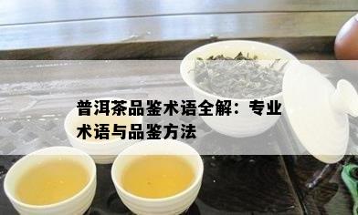 普洱茶品鉴术语全解：专业术语与品鉴方法