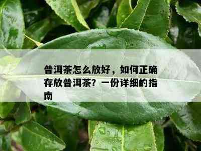 普洱茶怎么放好，如何正确存放普洱茶？一份详细的指南