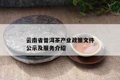 云南省普洱茶产业政策文件公示及服务介绍