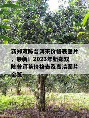 新郑双陈普洱茶价格表图片，最新！2023年新郑双陈普洱茶价格表及高清图片全览