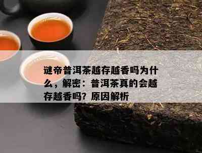 谜帝普洱茶越存越香吗为什么，解密：普洱茶真的会越存越香吗？原因解析