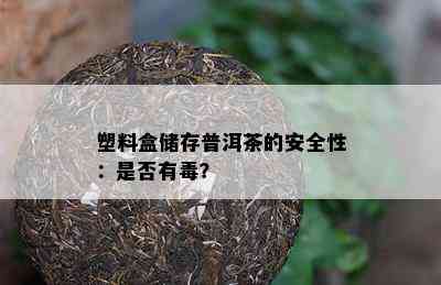 塑料盒储存普洱茶的安全性：是否有？