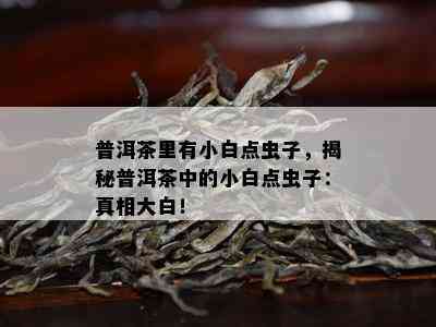 普洱茶里有小白点虫子，揭秘普洱茶中的小白点虫子：真相大白！