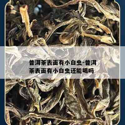 普洱茶表面有小白虫-普洱茶表面有小白虫还能喝吗