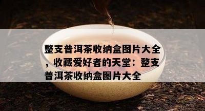 整支普洱茶收纳盒图片大全，收藏爱好者的天堂：整支普洱茶收纳盒图片大全