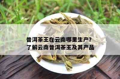 普洱茶王在云南哪里生产？了解云南普洱茶王及其产品