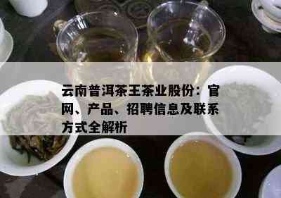 云南普洱茶王茶业股份：官网、产品、招聘信息及联系方式全解析