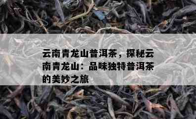 云南青龙山普洱茶，探秘云南青龙山：品味独特普洱茶的美妙之旅