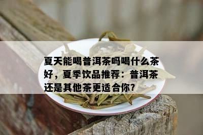 夏天能喝普洱茶吗喝什么茶好，夏季饮品推荐：普洱茶还是其他茶更适合你？