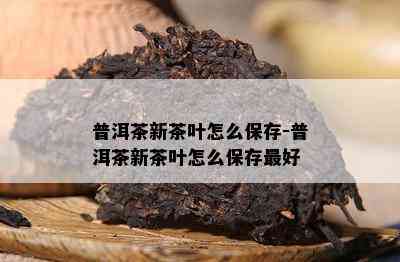 普洱茶新茶叶怎么保存-普洱茶新茶叶怎么保存更好