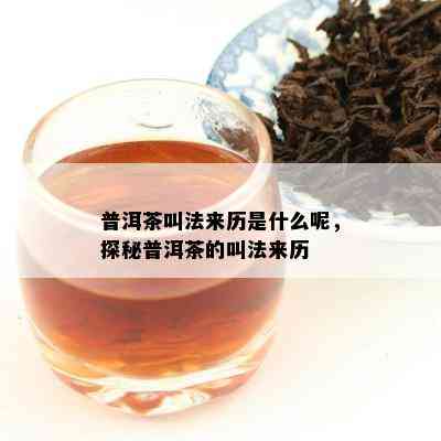 普洱茶叫法来历是什么呢，探秘普洱茶的叫法来历