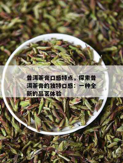 普洱茶膏口感特点，探索普洱茶膏的独特口感：一种全新的品茗体验