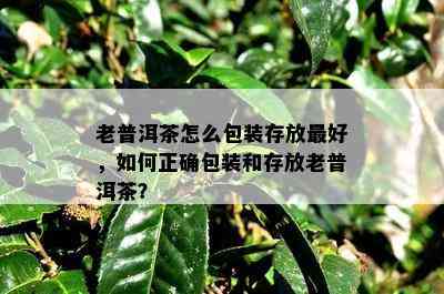 老普洱茶怎么包装存放更好，如何正确包装和存放老普洱茶？