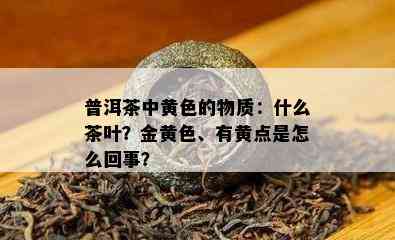 普洱茶中黄色的物质：什么茶叶？金黄色、有黄点是怎么回事？