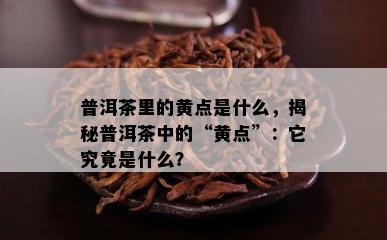 普洱茶里的黄点是什么，揭秘普洱茶中的“黄点”：它究竟是什么？