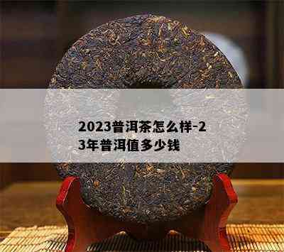 2023普洱茶怎么样-23年普洱值多少钱