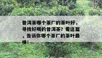 普洱茶哪个茶厂的茶叶好，寻找好喝的普洱茶？看这篇，告诉你哪个茶厂的茶叶最棒！