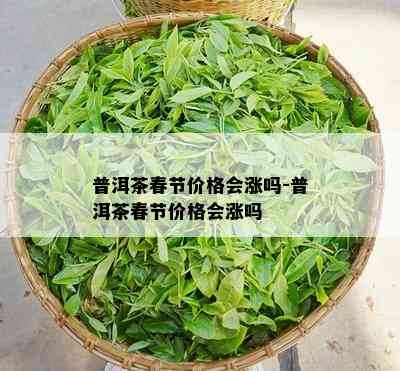 普洱茶春节价格会涨吗-普洱茶春节价格会涨吗