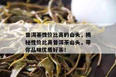 普洱茶性价比高的山头，揭秘性价比高普洱茶山头，带你品味优质好茶！