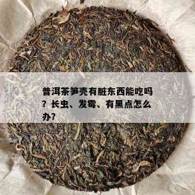 普洱茶笋壳有脏东西能吃吗？长虫、发霉、有黑点怎么办？