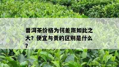 普洱茶价格为何差距如此之大？便宜与贵的区别是什么？