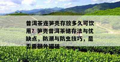 普洱茶连笋壳存放多久可饮用？笋壳普洱茶储存法与优缺点，防潮与防虫技巧，是否需额外罐装