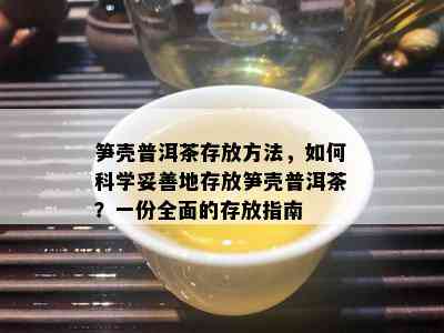 笋壳普洱茶存放方法，如何科学妥善地存放笋壳普洱茶？一份全面的存放指南