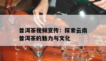 普洱茶视频宣传：探索云南普洱茶的魅力与文化