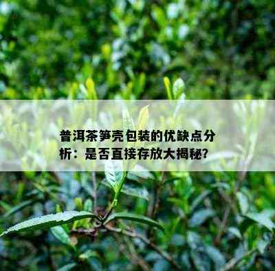 普洱茶笋壳包装的优缺点分析：是否直接存放大揭秘？