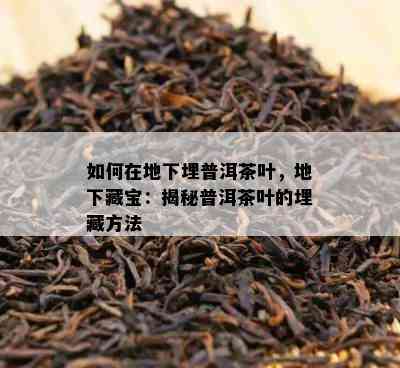 如何在地下埋普洱茶叶，地下藏宝：揭秘普洱茶叶的埋藏方法