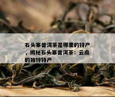 石头寨普洱茶是哪里的特产，揭秘石头寨普洱茶：云南的独特特产