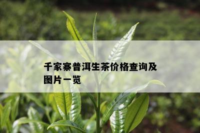 千家寨普洱生茶价格查询及图片一览