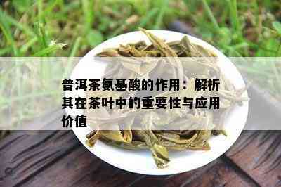 普洱茶氨基酸的作用：解析其在茶叶中的重要性与应用价值