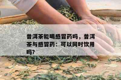 普洱茶能喝感冒吗，普洱茶与感冒：可以同时饮用吗？