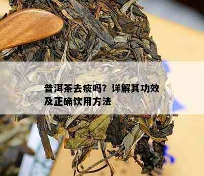 普洱茶去痰吗？详解其功效及正确饮用方法