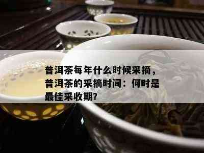 普洱茶每年什么时候采摘，普洱茶的采摘时间：何时是更佳采收期？