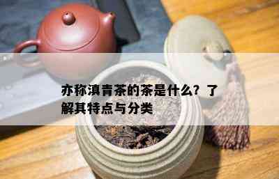 亦称滇青茶的茶是什么？了解其特点与分类