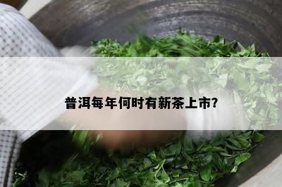 普洱每年何时有新茶上市？