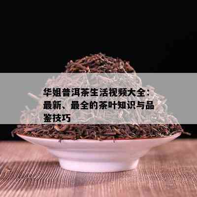 华姐普洱茶生活视频大全：最新、最全的茶叶知识与品鉴技巧