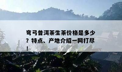 弯弓普洱茶生茶价格是多少？特点、产地介绍一网打尽！