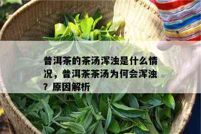 普洱茶的茶汤浑浊是什么情况，普洱茶茶汤为何会浑浊？原因解析